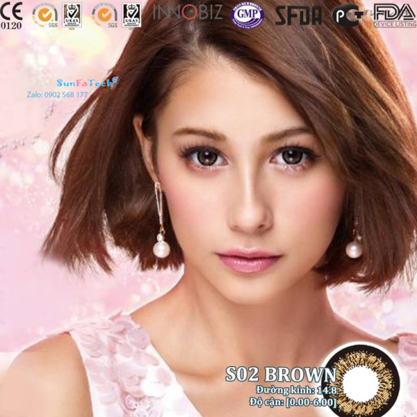 kinh ap trong S02 Brown